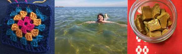 blog combo granny sea turmeric fudge